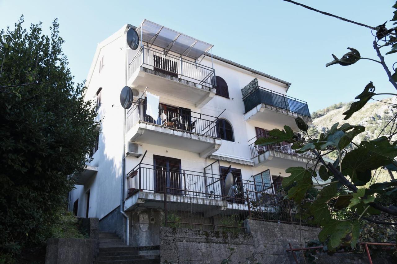 Apartment Lima Kotor Exterior foto